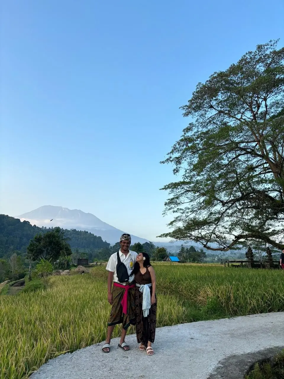 Lush green rice terraces Dukuh Sidemen